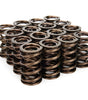 1.640 NexTek Valve Springs