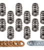 1.311 NexTek Dual Valve Springs