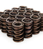 1.570 Dual Valve Springs