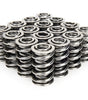 1.570 Dual Valve Springs