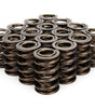 1.610 NexTek Dual Valve Springs