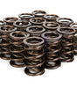 1.650 NexTek Dual Valve Springs