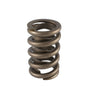 1.260 Single Valve Spring w/Damper (1)