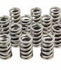 1.260 Single Valve Springs RPM Series (16)