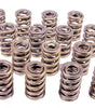1.244 Dual Valve Springs (16)