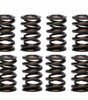 1.260 Dual Valve Springs (16)