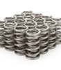 1.290 Dual Valve Springs - RPM Series (16)