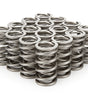 1.304 Dual Valve Springs - RPM Series (16)