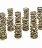 1.324 Dual Valve Springs - RPM Series (16)