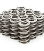 1.324 Dual Valve Springs - RPM Series (16)