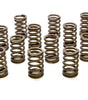 1.245 Single Valve Springs - RPM Series (16