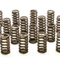 1.061 Valve Springs - Ovate Beehive (16)