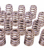 1.290 Valve Springs - Ovate Beehive (16)