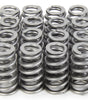 RPM Series Valve Springs - Beehive (16)