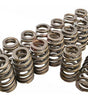 1.307 Valve Springs - Ovate Beehive (16)