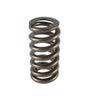 1.307 Valve Spring - Ovate Beehive (1)