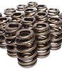 1.307 Valve Springs - Ovate Beehive (16)