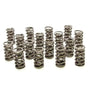 Dual Valve Springs - GM LS (16)