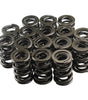 1.625 Dual Valve Springs (16)