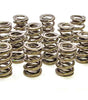 1.550 Dual Valve Springs (16)