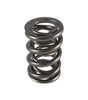 1.550 Dual Valve Spring (1)