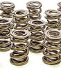 1.550 Dual Valve Springs (16)