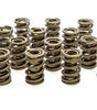 1.539 Dual Valve Springs (16)