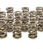 1.625 Dual Valve Springs (16)