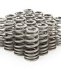 1.345 Valve Springs - Ovate Beehive (16)