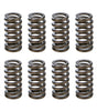 1.025 Valve Springs - Ovate Beehive (16)