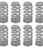 1.021 Valve Springs - Ovate Beehive (16)
