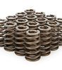 1.210 Valve Springs - Ovate Beehive (16)