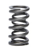 1.274 Dual Valve Spring GM LS (1)