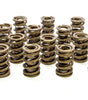 1.550 Dual Valve Springs (16)