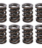 1.570 Dual Valve Springs CT 1200 Series (16)