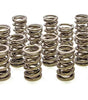 1.550 Dual Valve Springs (16)