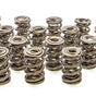 1.645 Triple Valve Springs (16)