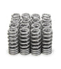 Drop-In Valve Springs (16) Ford 7.3L Godzilla