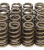 1.250 Valve Springs - Ovate Beehive (16)