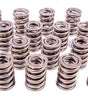 1.545 Dual Valve Springs (16)