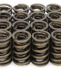 1.539 Dual Valve Springs w/Damper (16)