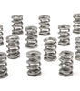 PAC Valve Springs, 1300 Series Drag Race, Dual Spring, 629 lb/in Spring Rate, 1.100 in Coil Bind, 1.625 in OD, Set of 16