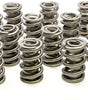 1.550 Dual Valve Springs (16)