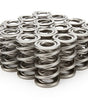 1.625 Dual Valve Springs (16)
