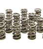 1.514 Dual Valve Springs (16)