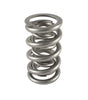 1.300 Dual Valve Spring (1)
