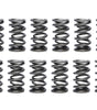 1.500 Dual Valve Springs (16)