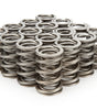 1.550 Dual Valve Springs (16)