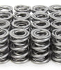 1.570 Dual Valve Springs 1300 Series C/T (16)