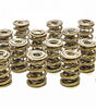 1.645 Triple Valve Springs (16)